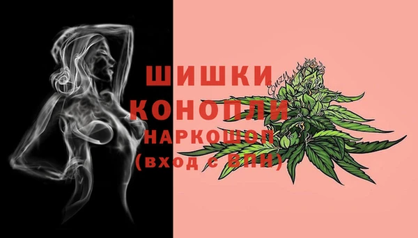 спайс Белокуриха