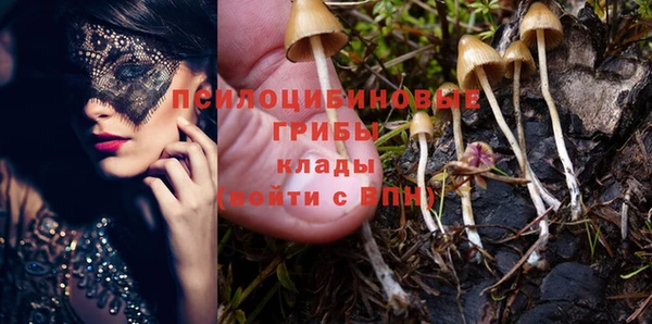 спайс Белокуриха