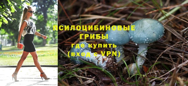 альфа пвп Беломорск