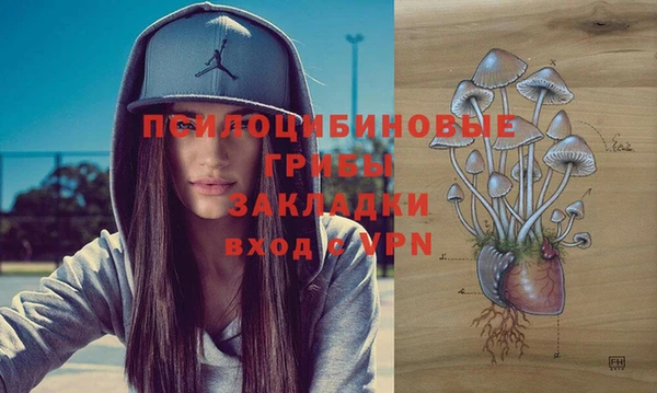 2c-b Белоозёрский